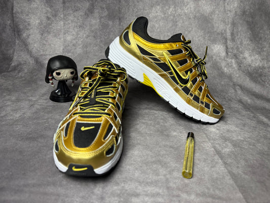 NIKE P-6000