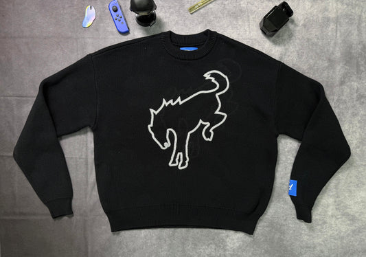 LONG SLEEVE FORD PACSUN